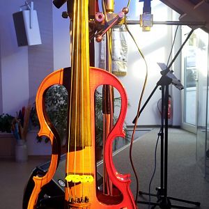 E-Geige in farbigem Licht