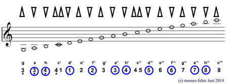 mundharmonika-2-1-2-oktaven-solostimmsystem.jpg