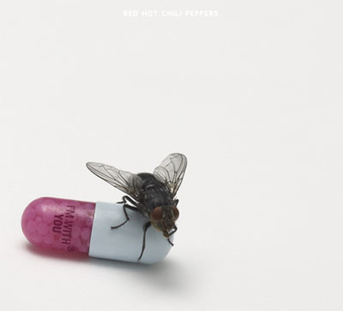 im-with-you-album-cover-by-damien-hirst-red-hot-chili-peppers-new-album-artwork-02.jpg