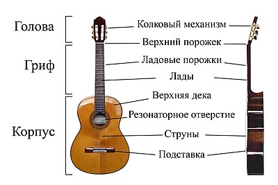 400px-Classical_Guitar_labelled_russian.jpg
