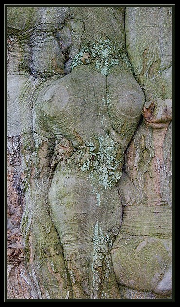 01-Baumfrau.jpg