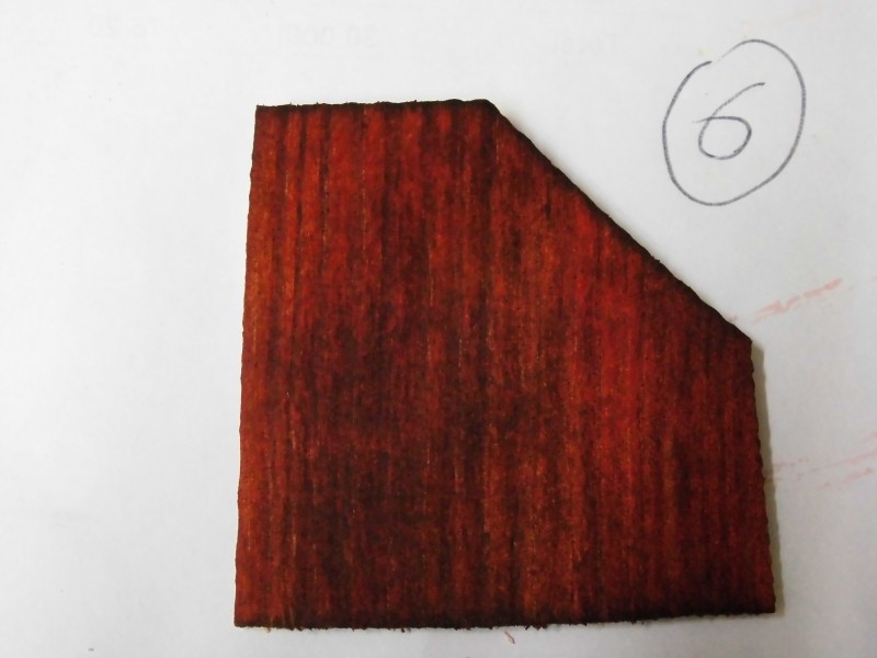 010.JPG