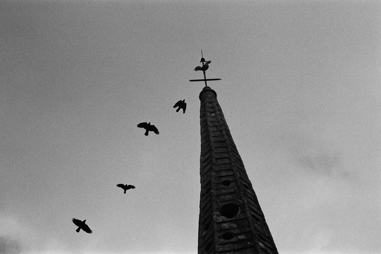019_2kl.JPG
