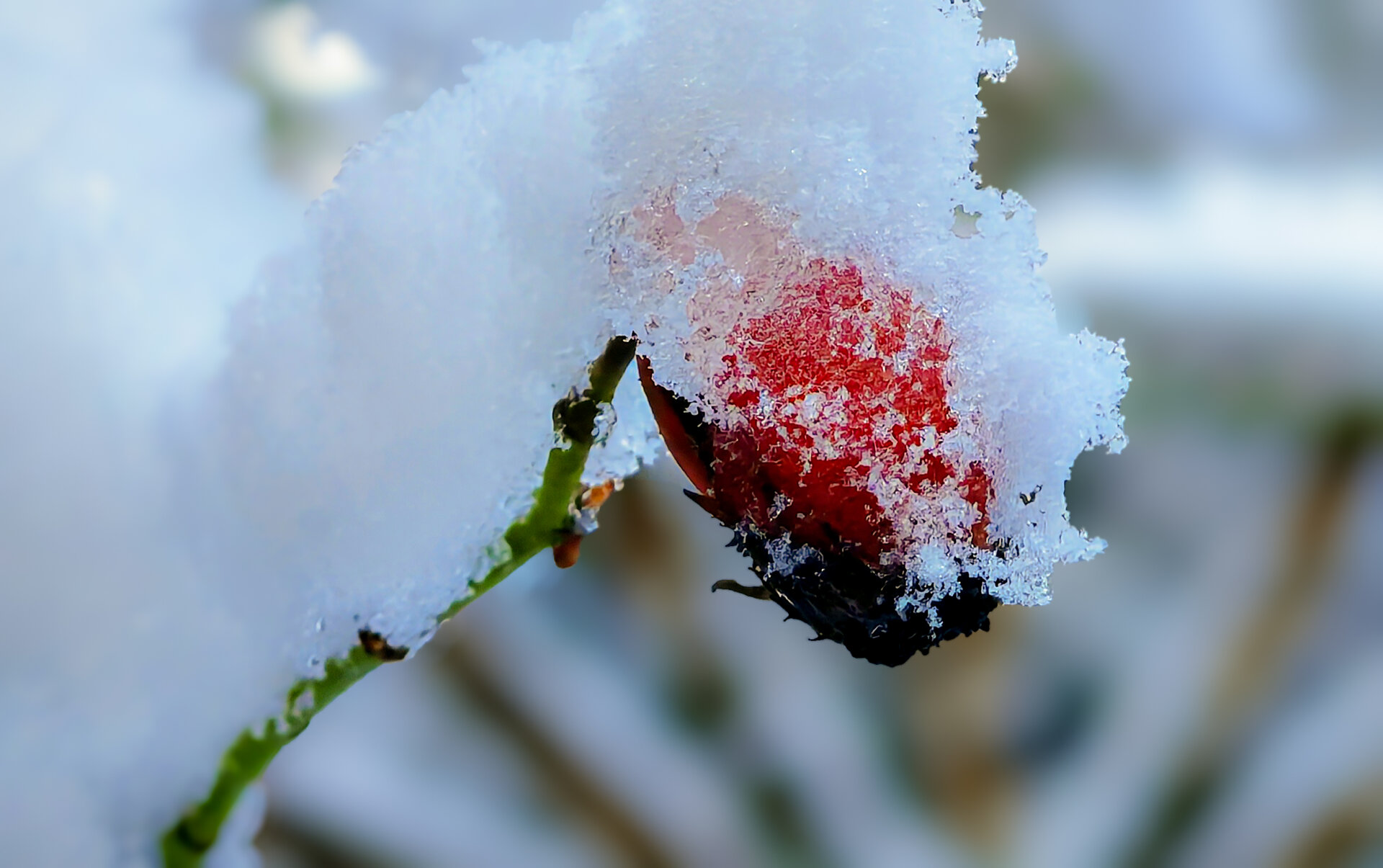 02.01.2026, Foto ©Wolfgang Kahle.jpg