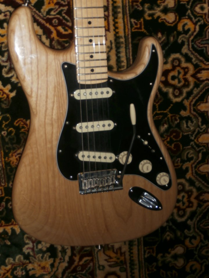 Body Stratocaster Professional
