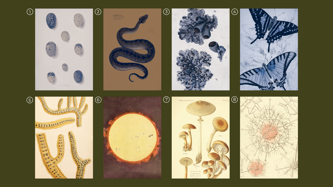 Crowdfunding Postcard Motifs