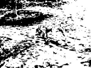 0E2763FB-5C45-4F88-8969-11119219D9E0.jpeg