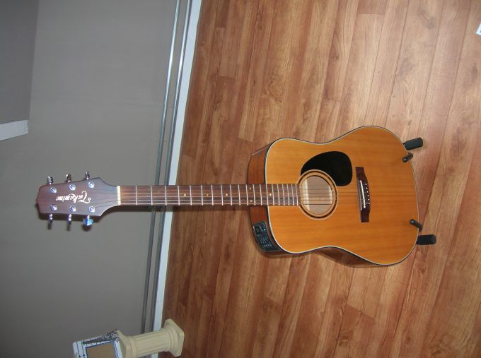1-003-003678-Takamine-EF340.jpg