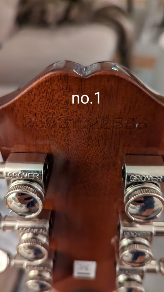 1000023910.jpg