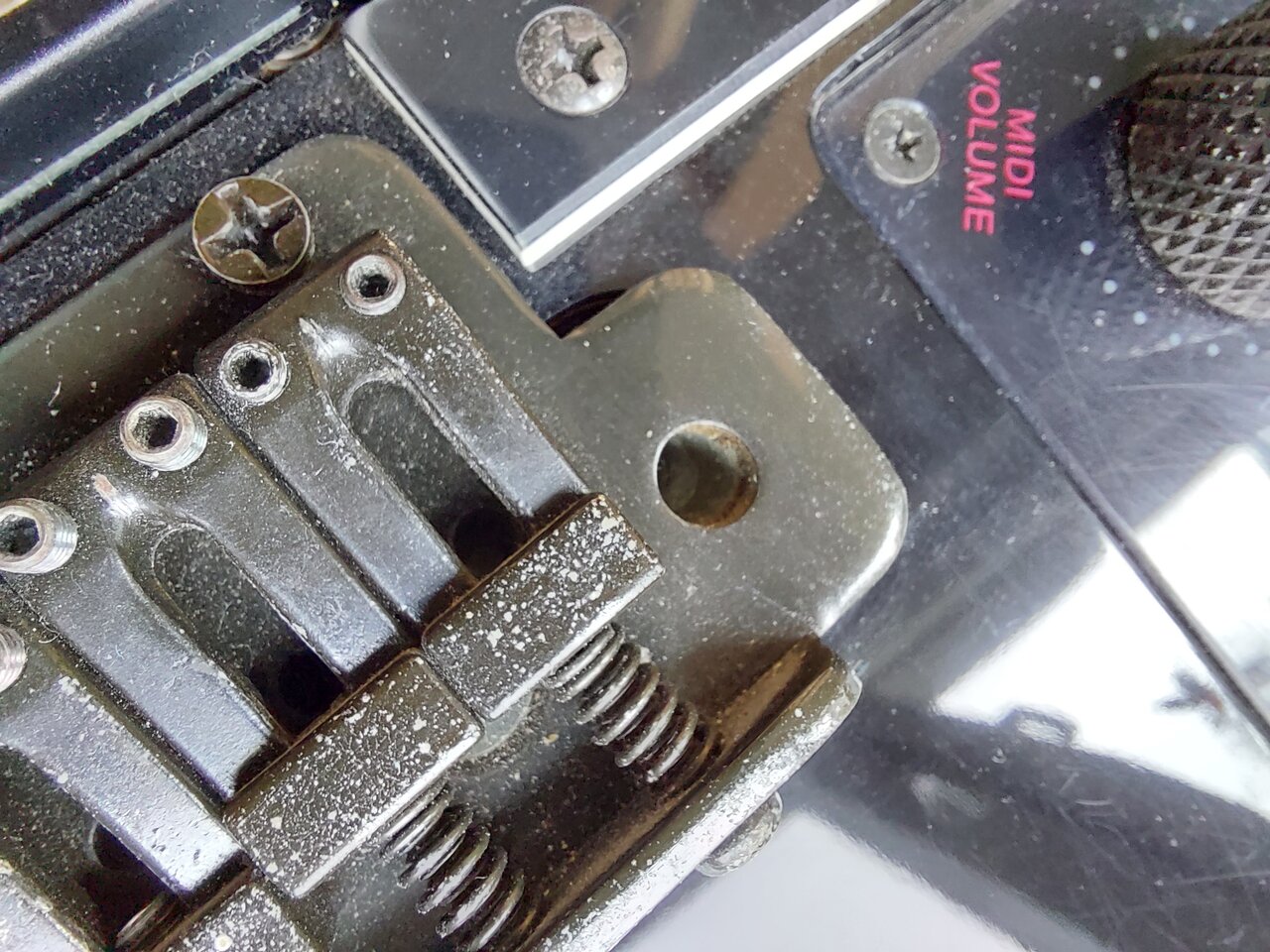 1000103433.jpg