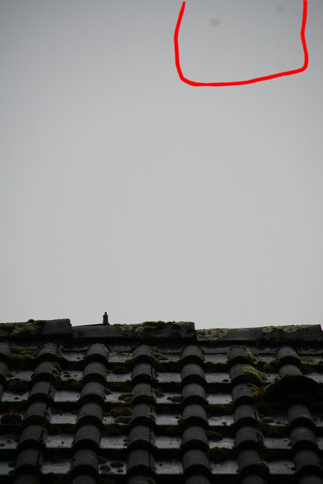 1000105055.jpg