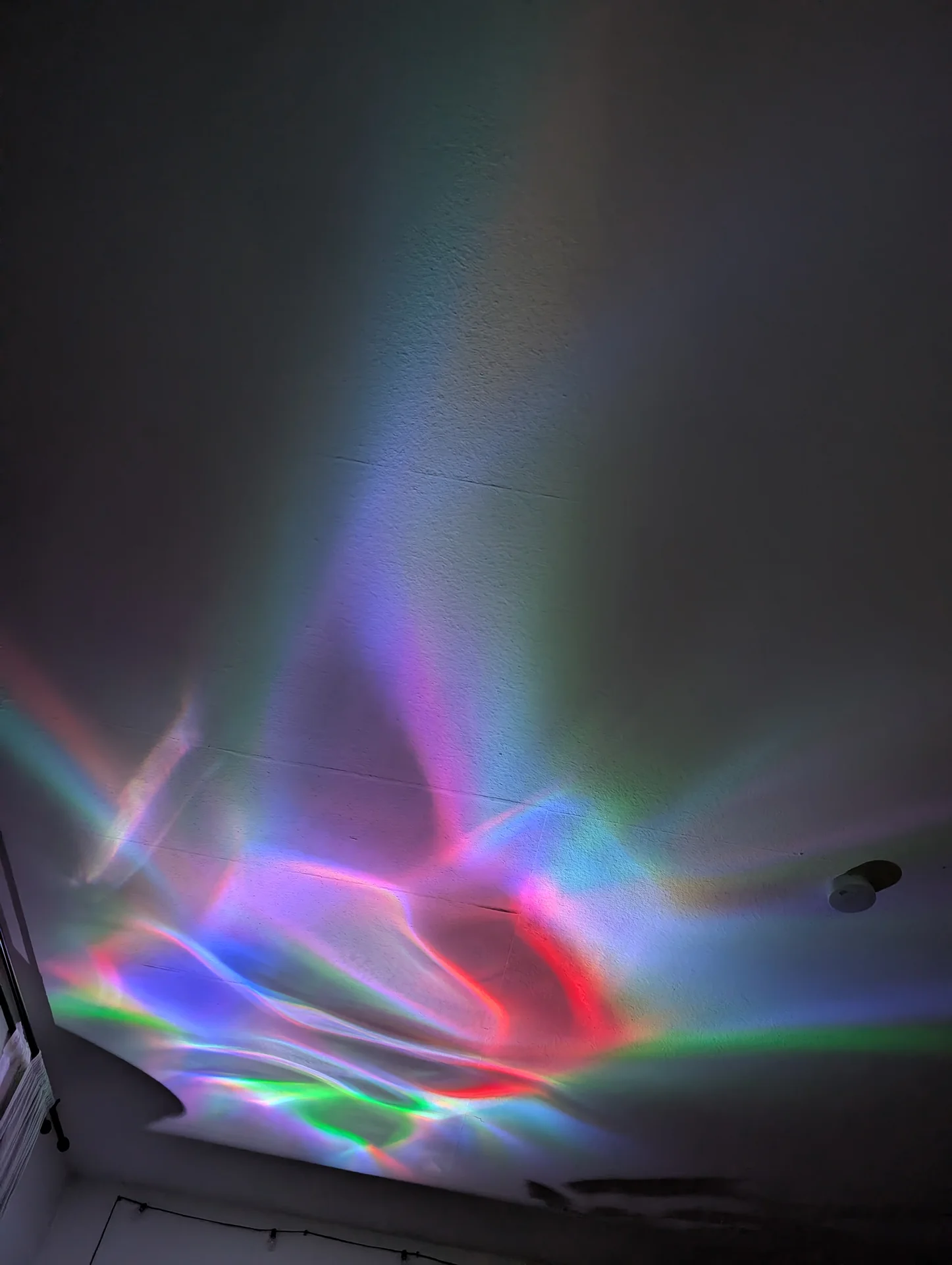 1000194144.webp