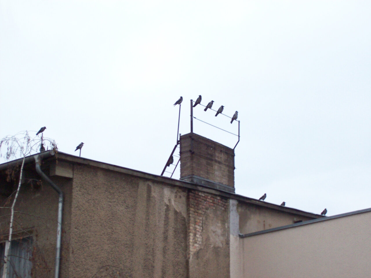 100_1418.JPG