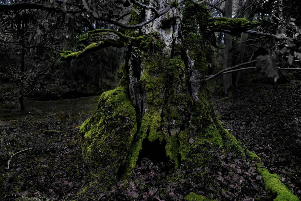 11-DSC_5216-3_.jpg