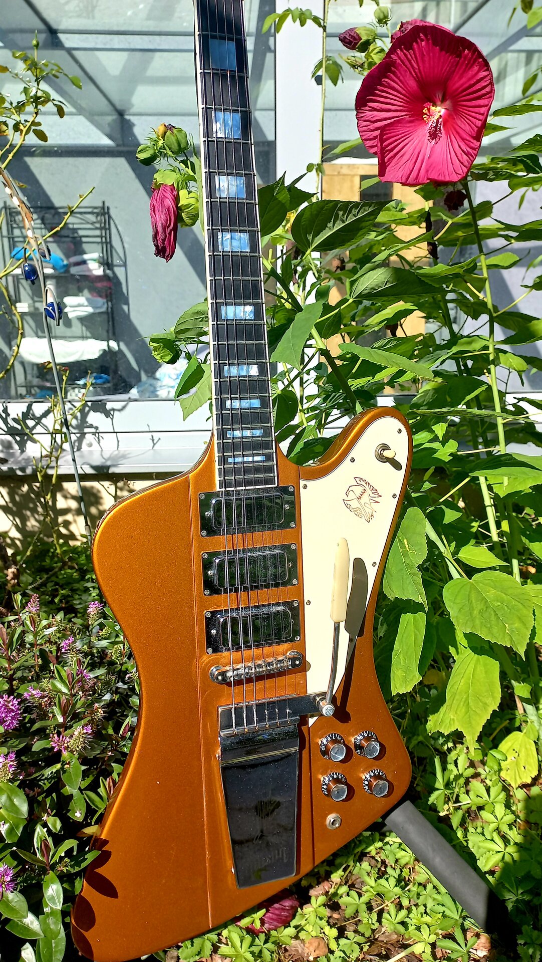 119 Gibson Firebird VII 2002 Copper 34.jpg