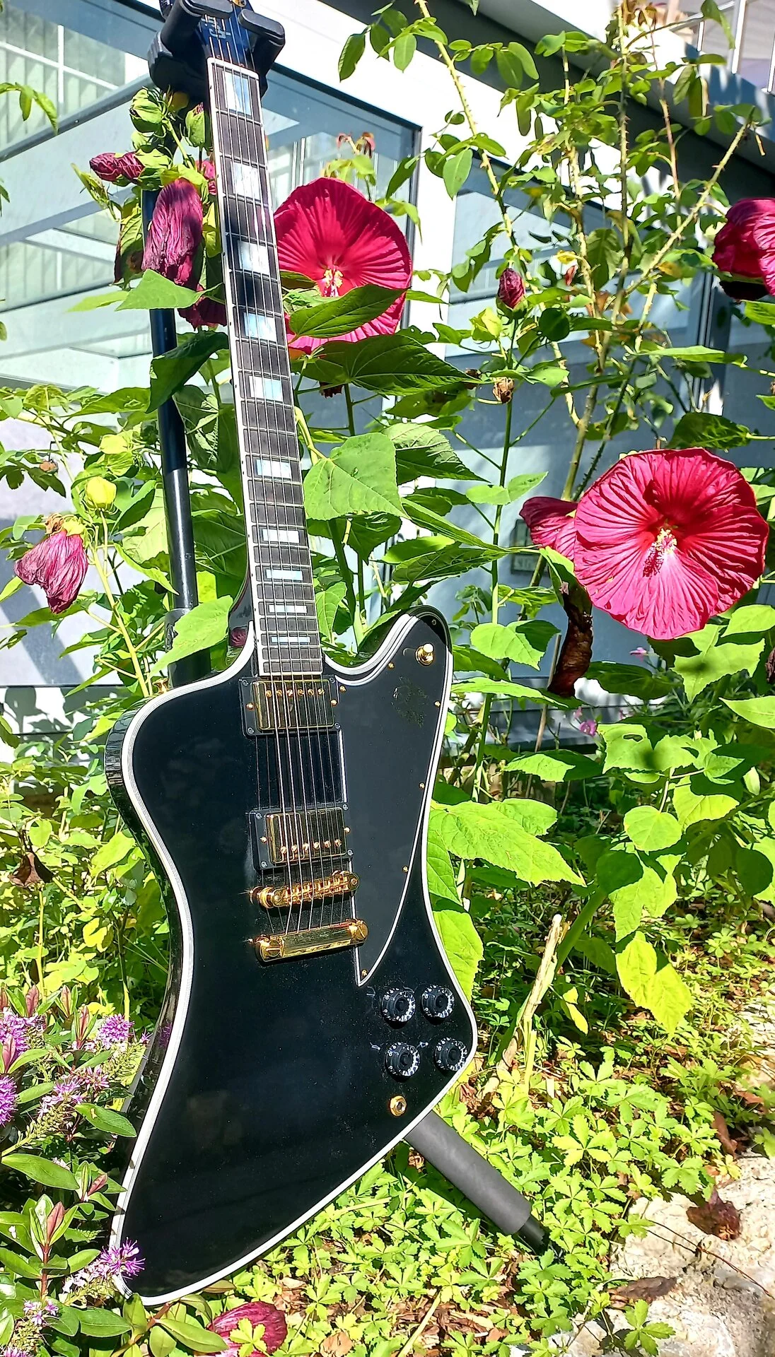 120 Gibson Firebird Custom 19.webp
