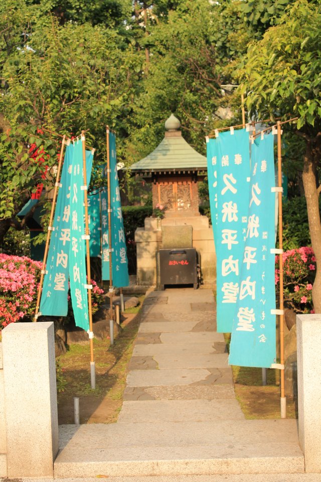 124.JPG