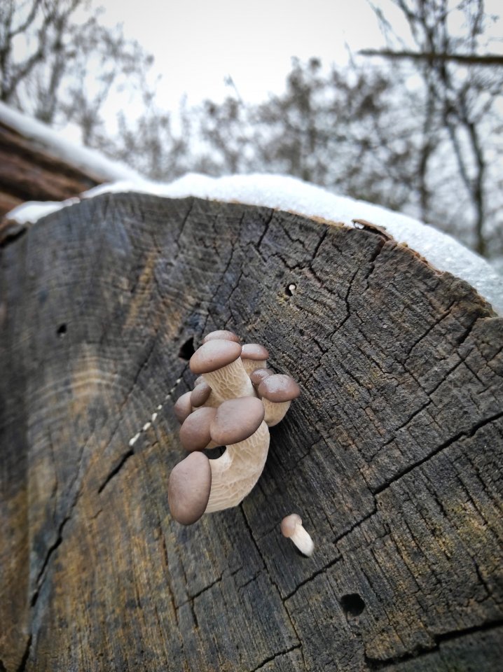 1613502764138_polarr.jpg