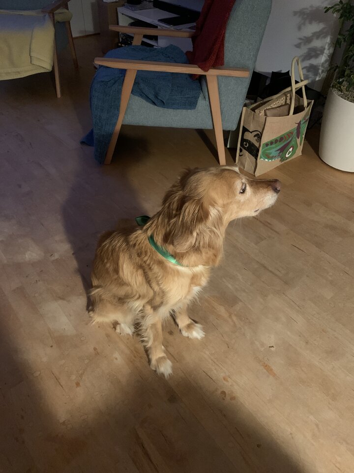 1671901248074.jpeg
