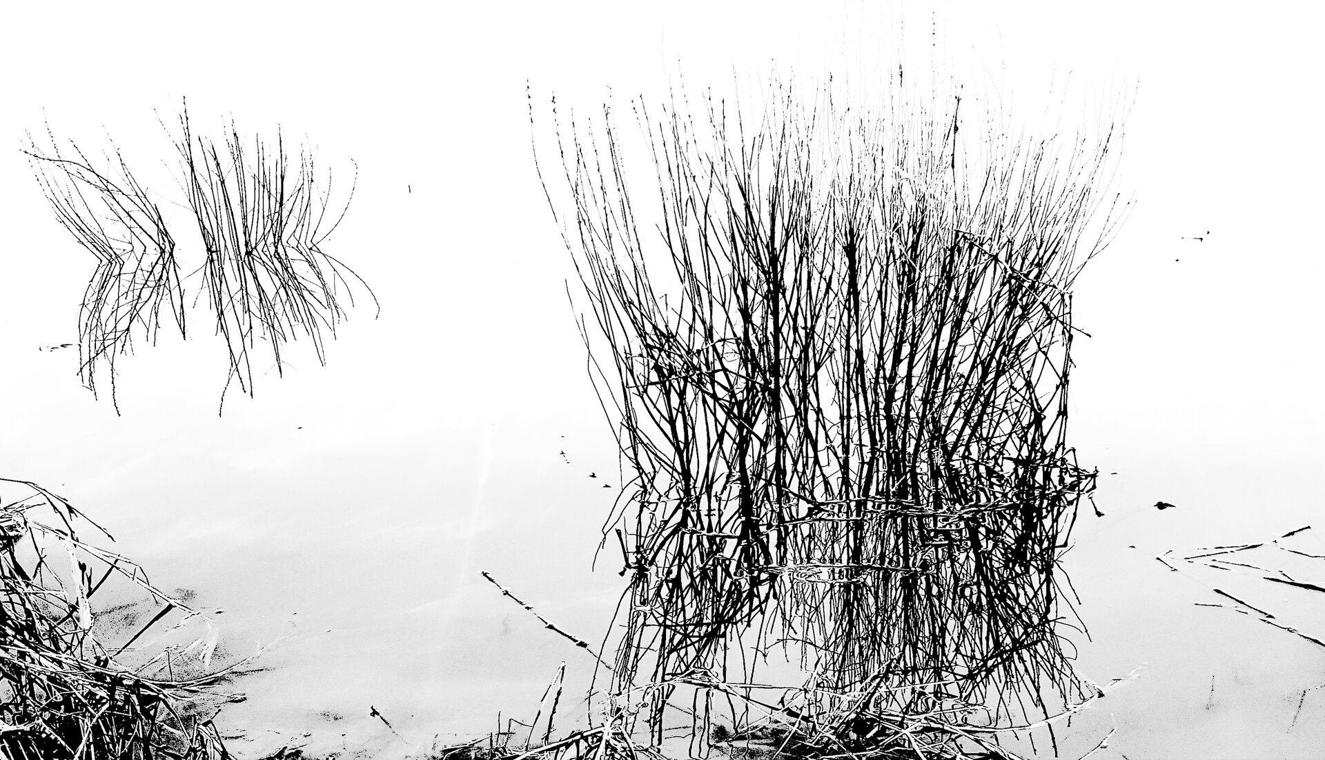 17.02.2019, Foto©Wolfgang Kahle, Elbe.jpg