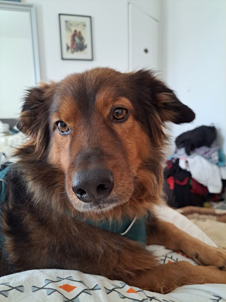 1704971441771.jpeg