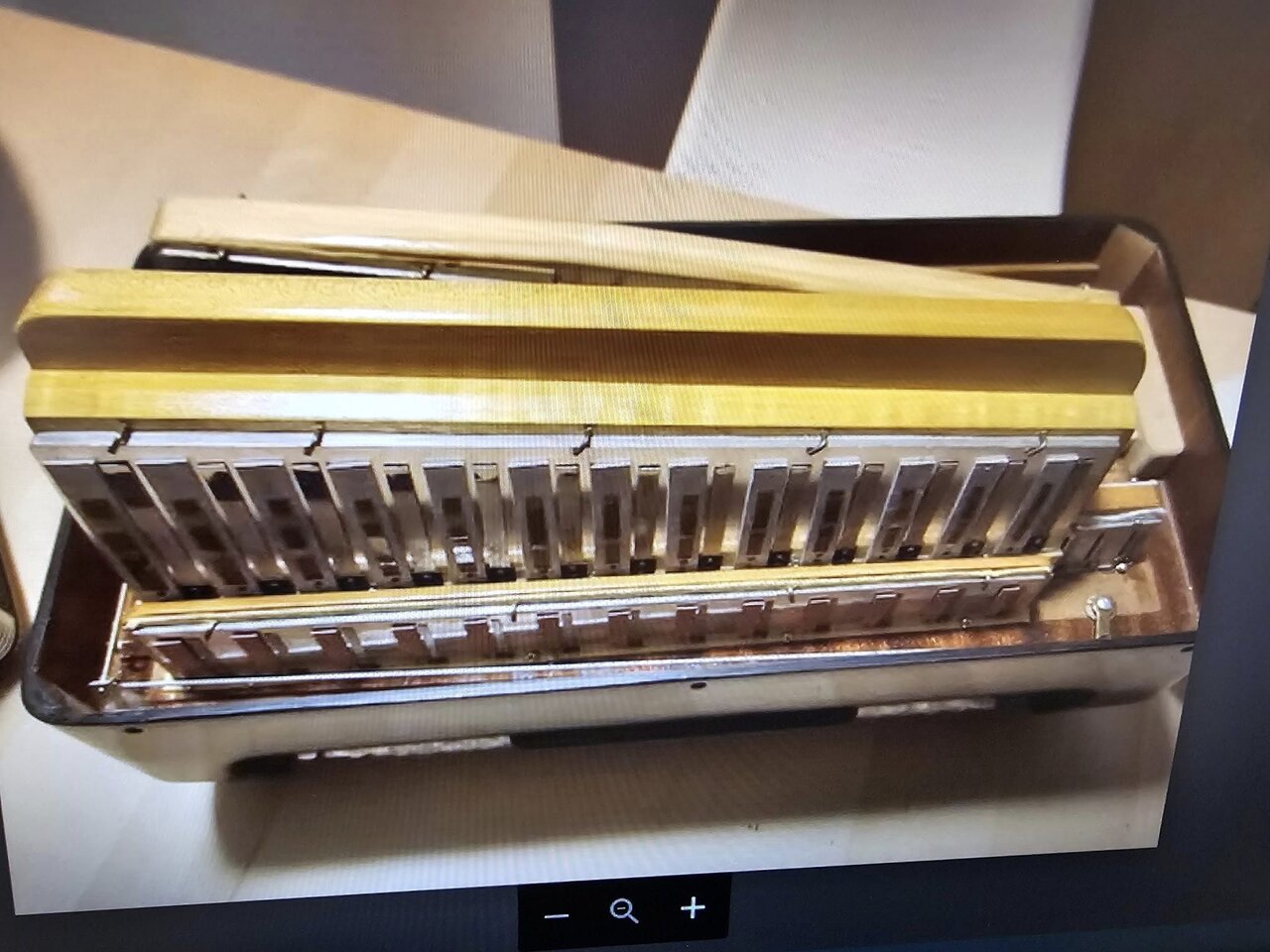 1707335757349.jpeg