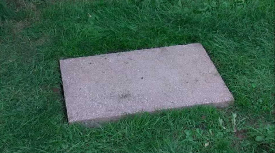 1707502730605.jpeg