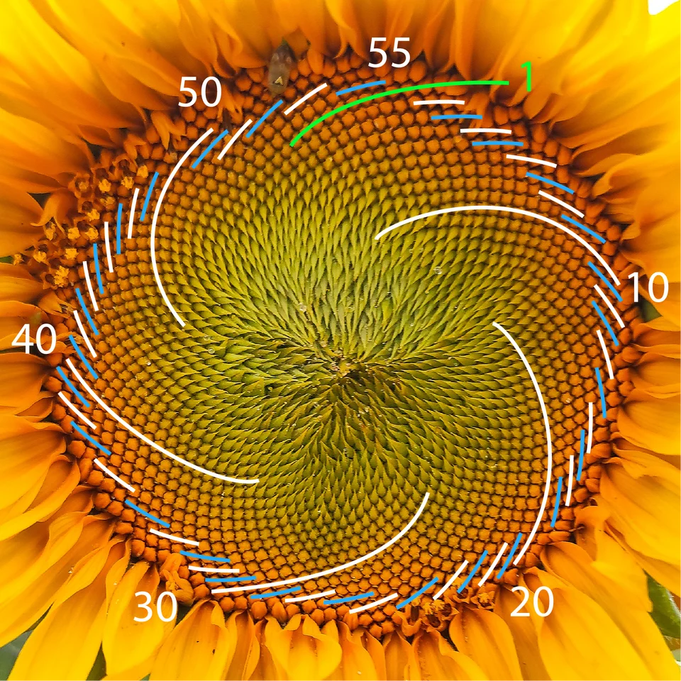 1708954416708.png
