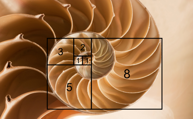 1708954498961.png
