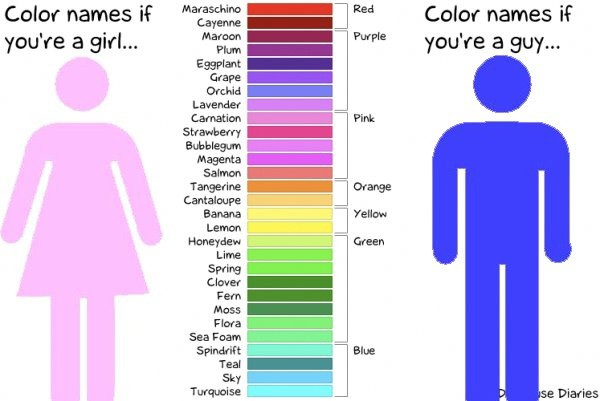 1745089310392.png