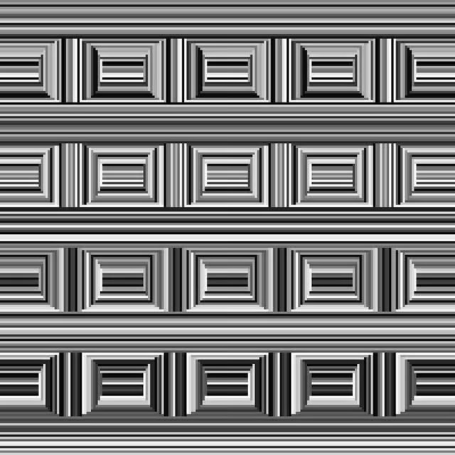 1745413422917.jpeg