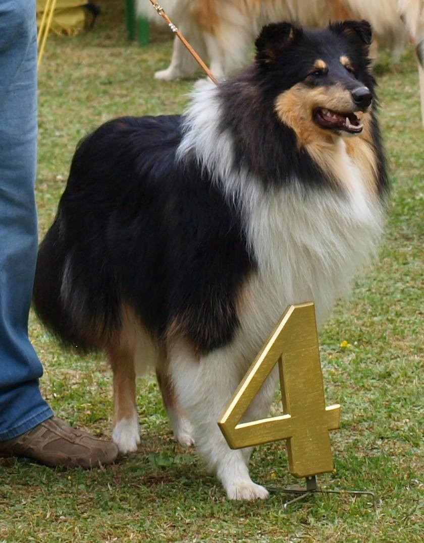 1752999694080.png
