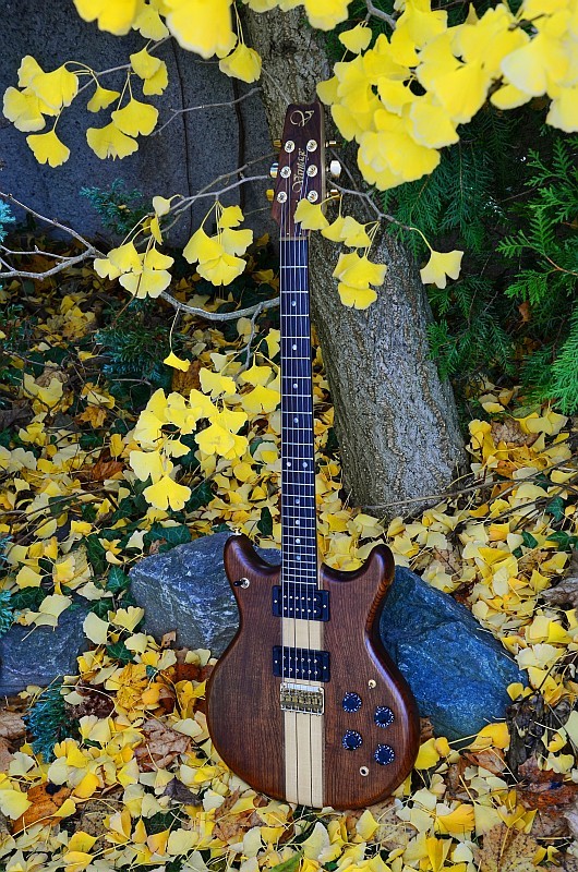 19 Vantage Artist VA 800 Phantom 1981 33.jpg