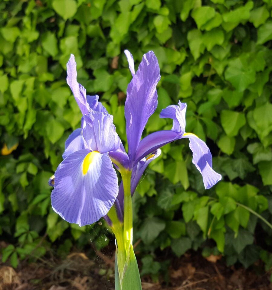 195d07c9-ef93-4ab0-aab6-3d34c0ec3c98.jpg