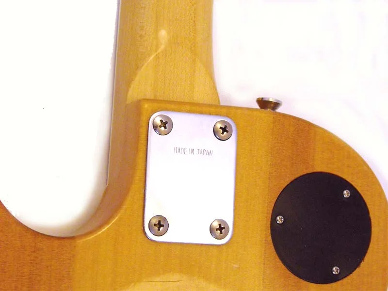 1975_Custom_LP_Plate.jpg
