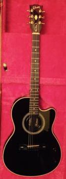 1990 Chet Atkins steel.JPG