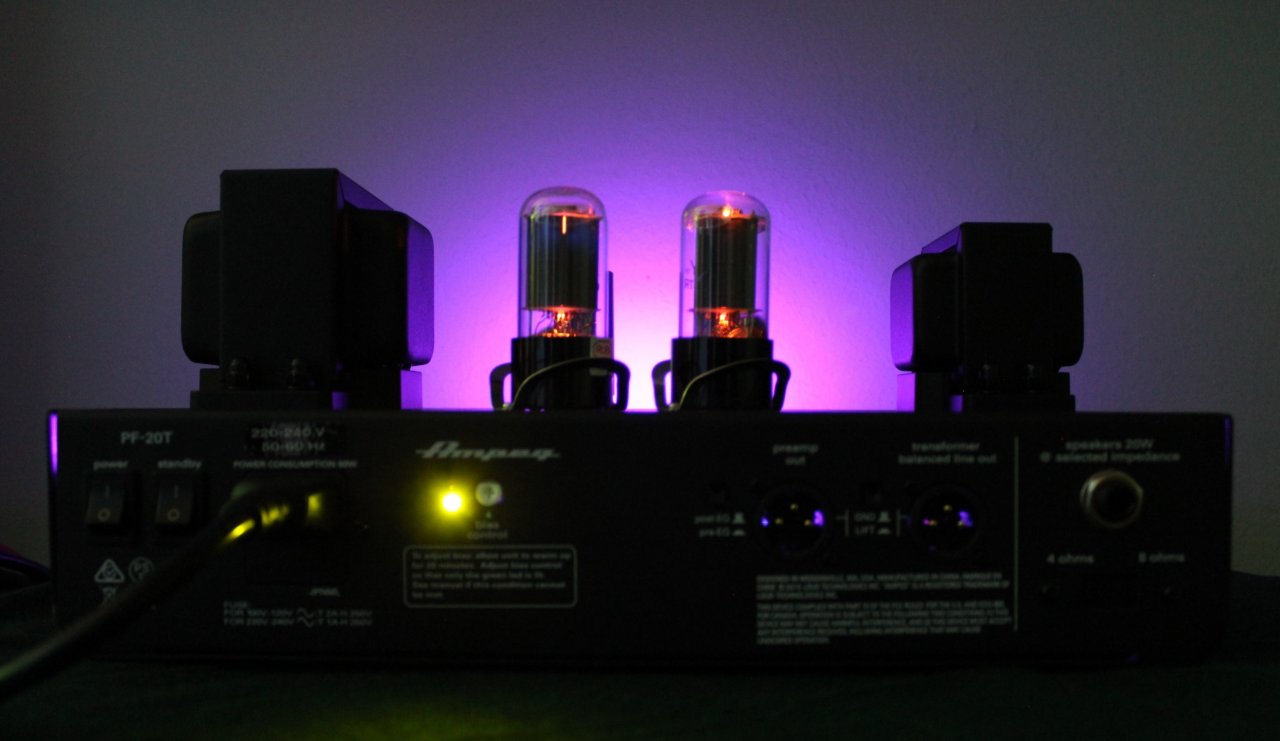 2 Ampeg PF20T Back.jpg