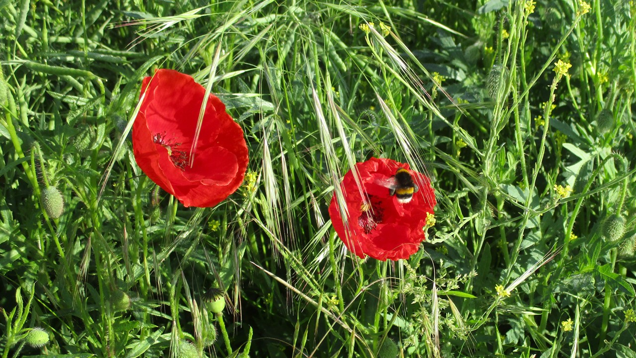 200526_57_1280x720.jpg