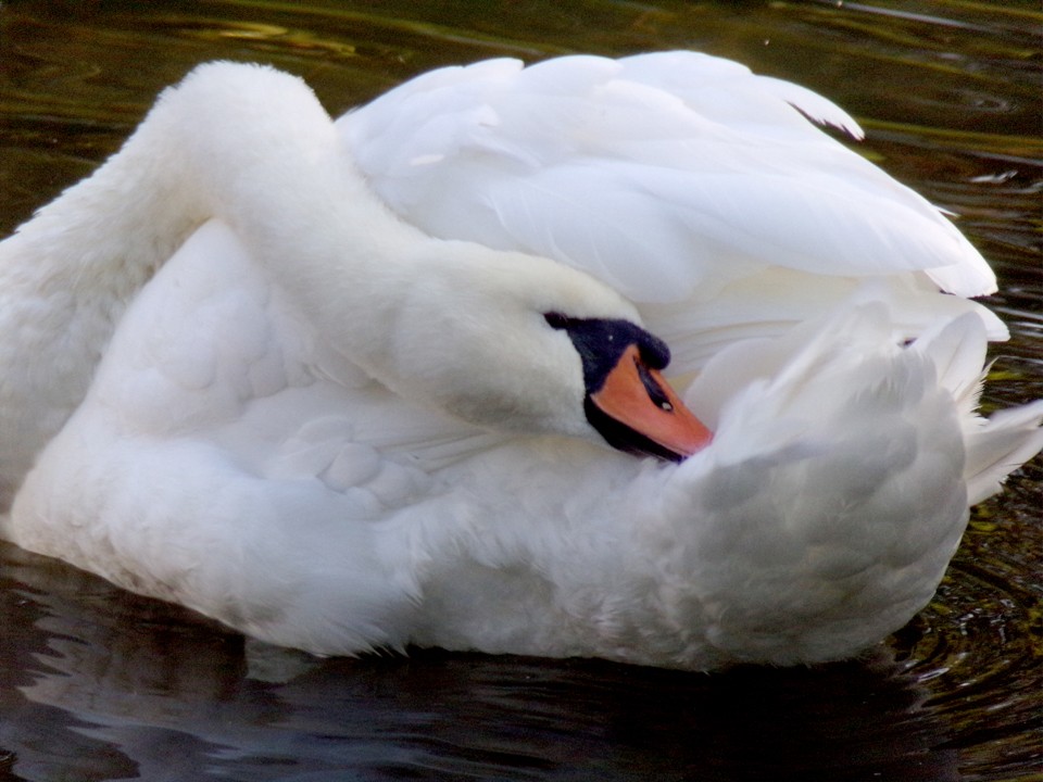 200921_1012_960x720.jpg