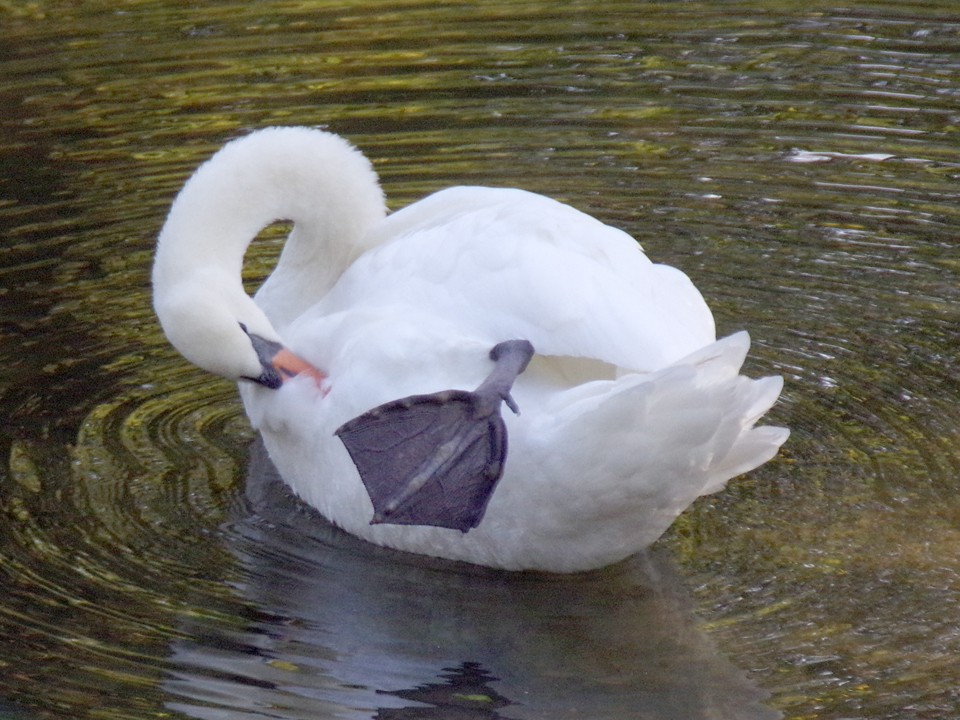 200921_1057_960x720_25.jpg