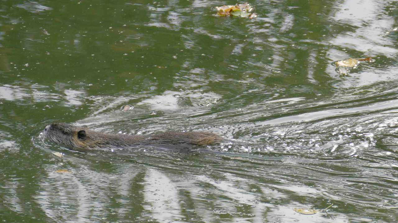 201002_032_1280x720.jpg