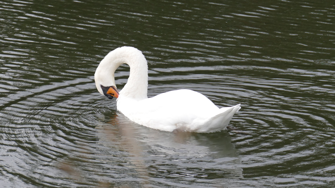 201002_045_1280x720.jpg