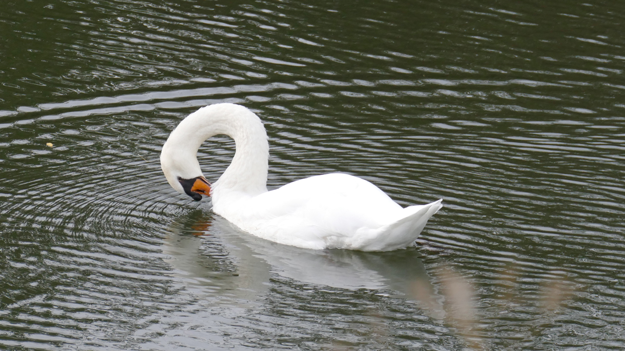 201002_046_1280x720.jpg