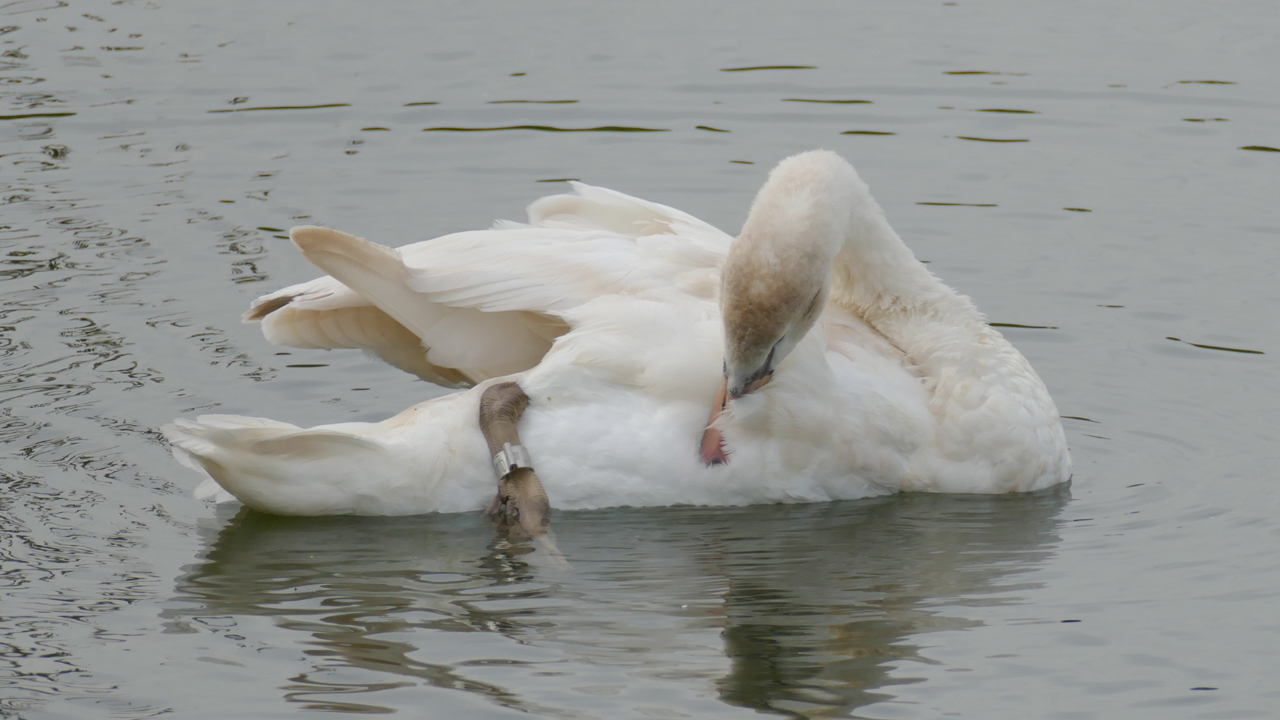201002_128_1280x720.jpg