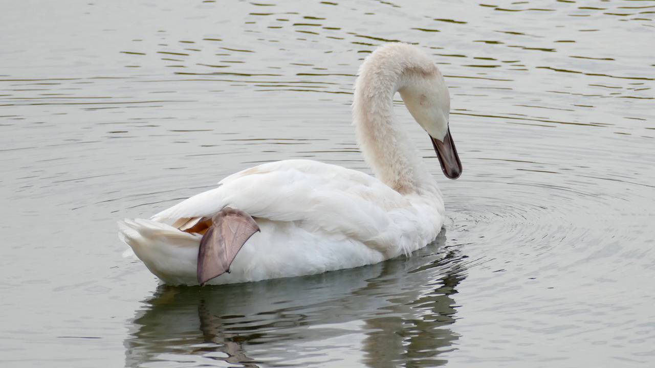201002_252_1280x720.jpg