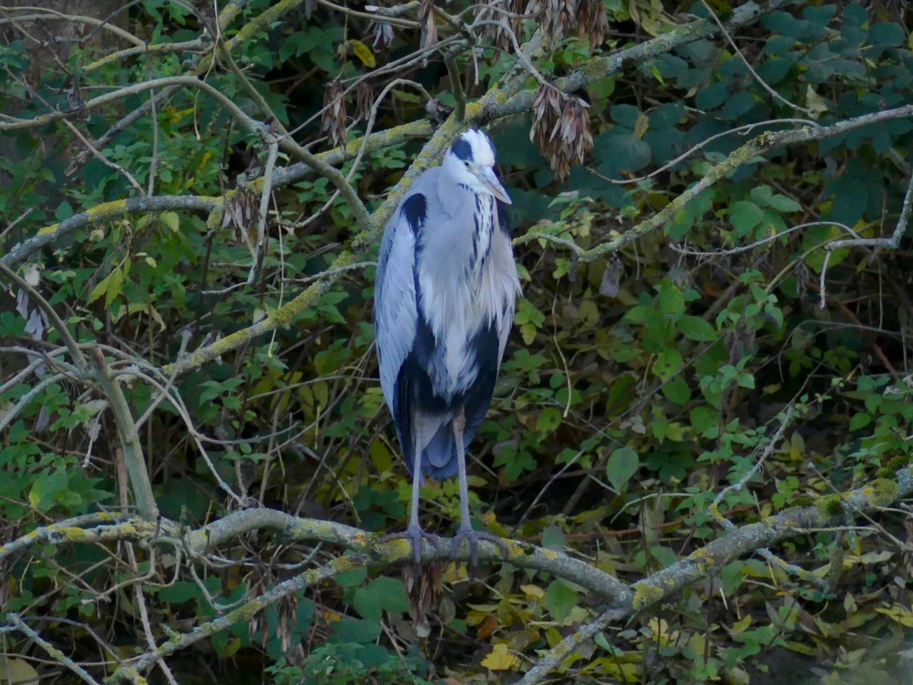 201102_1022_1280x960.jpg