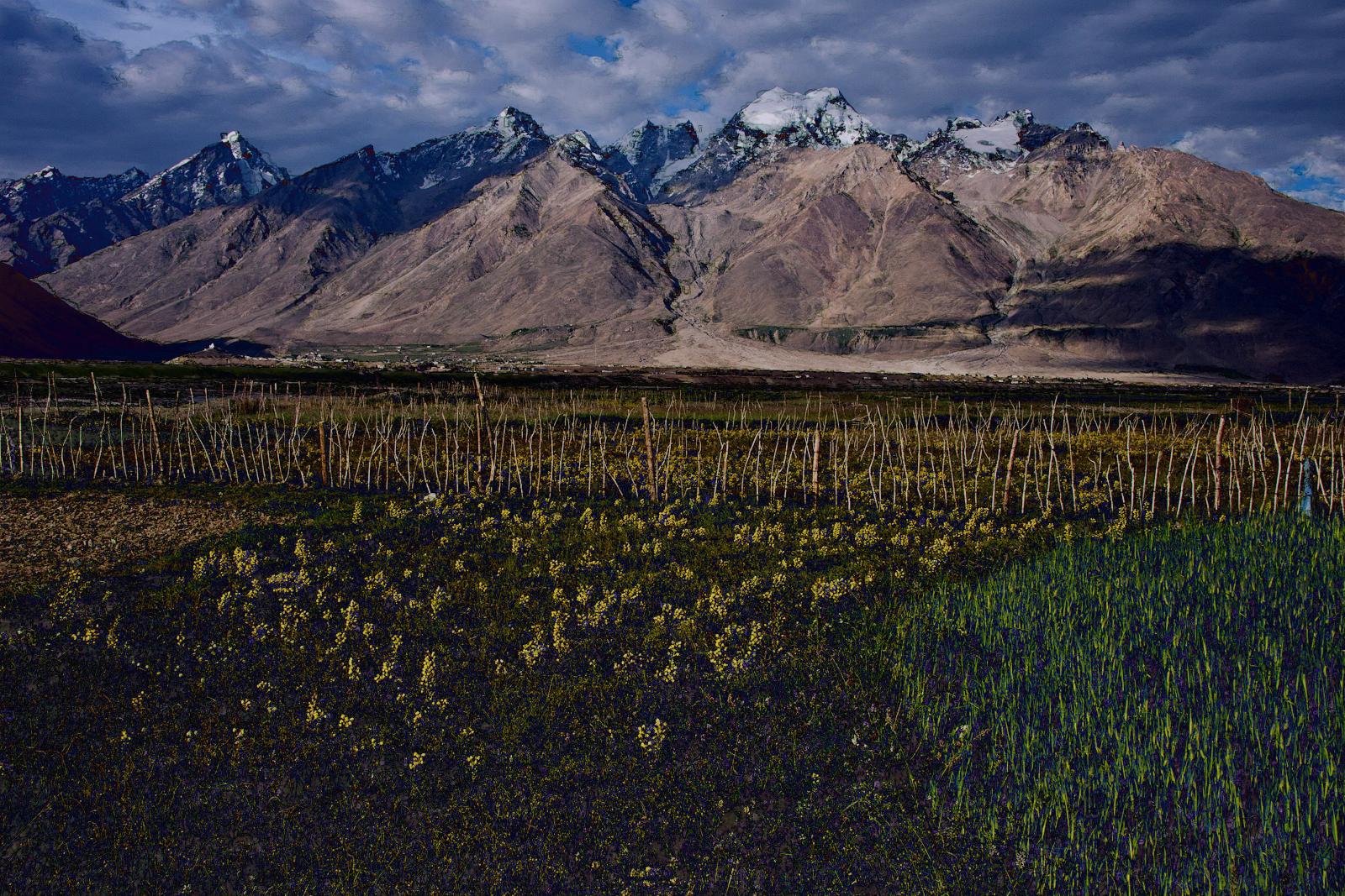 2012-Ladakh-0369-d4a6b214.jpg