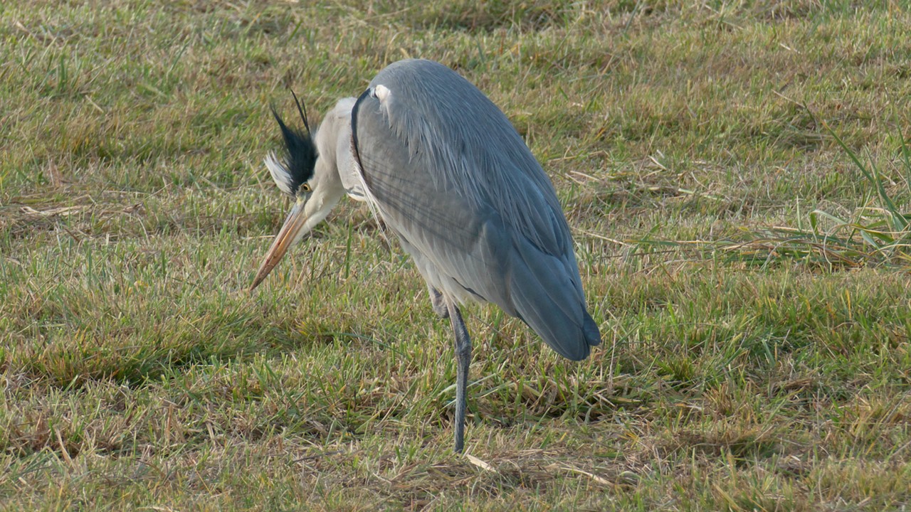 201214_4603_1280x720.jpg