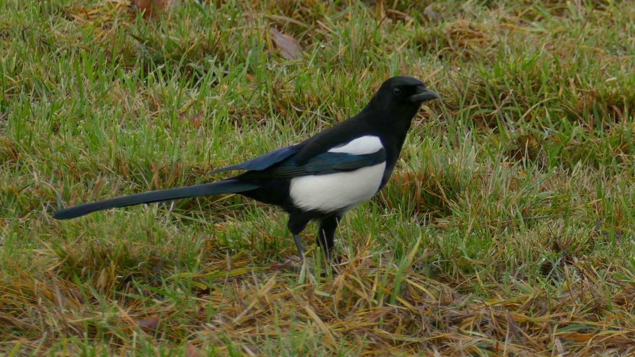 201224_4769_1280x720.jpg