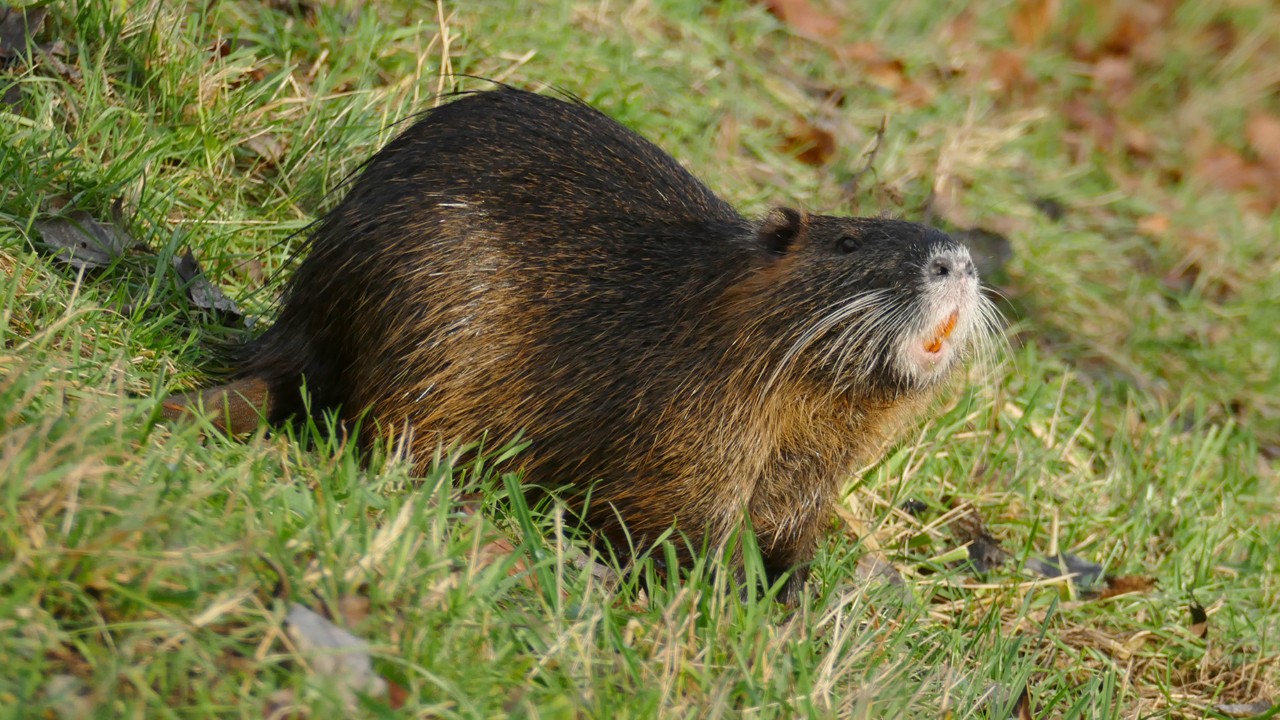 201224_5036_1280x720.jpg